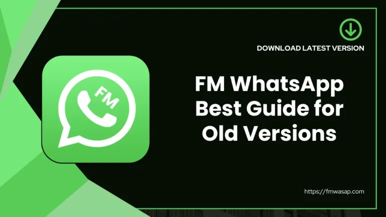 FM WhatsApp Old Versions